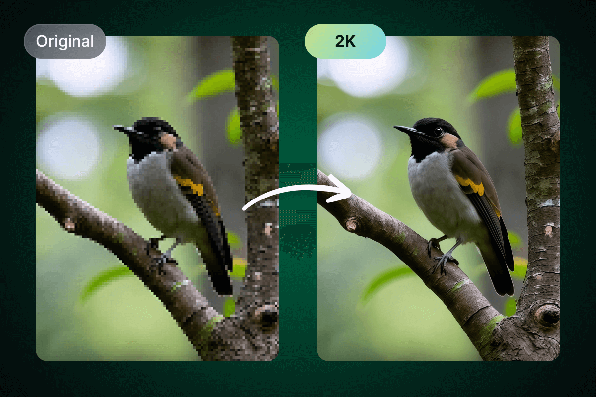 Enhance Image Quality with 2K/1080p